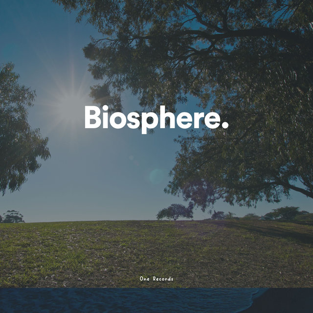 Biosphere