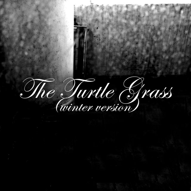 The Turtle Grass