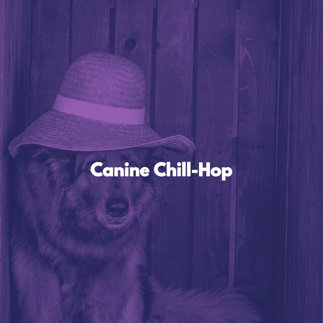 Canine Chill-Hop