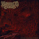 Cover art for album Diorama of Human Suffering by Bastard Grave