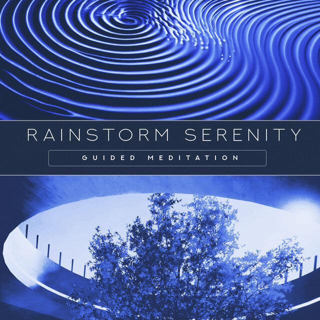 Rainstorm Serenity