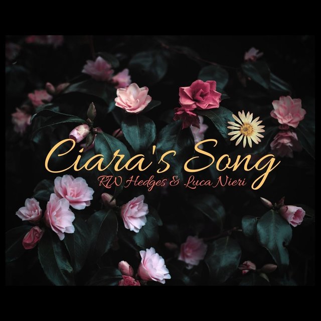 Ciara's Song