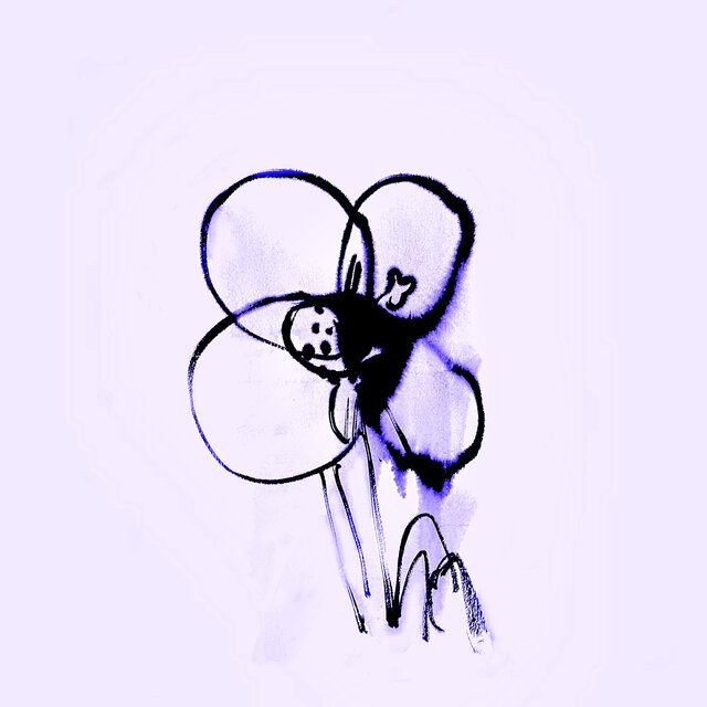 Amapola Azul