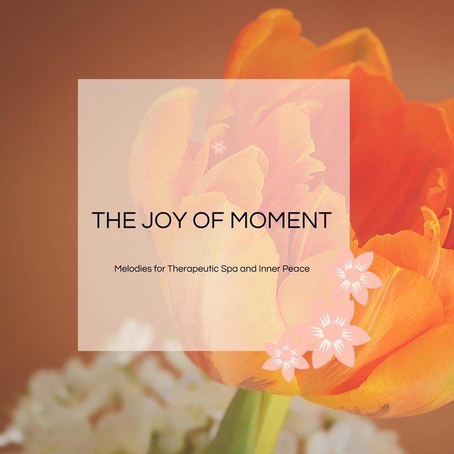 The Joy Of Moment - Melodies For Therapeutic Spa And Inner Peace