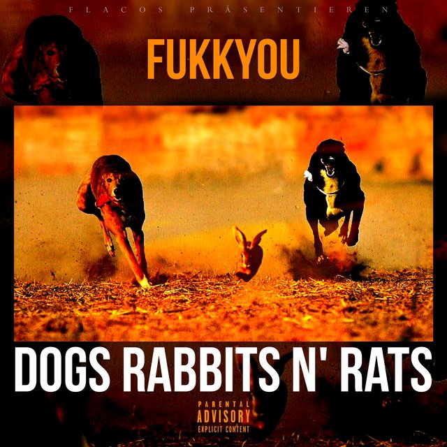 Dogs Rabbits N' Rats