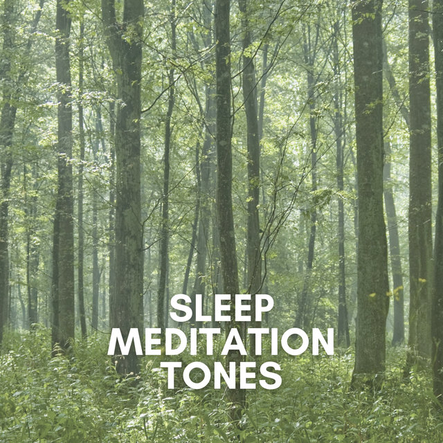 Sleep Meditation Tones