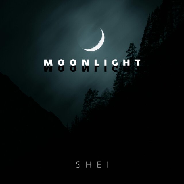 moonlight