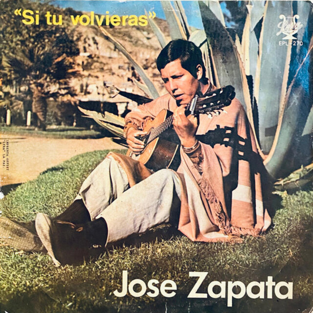 Si tu volvieras