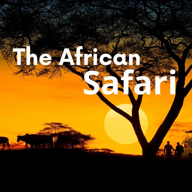 The African Safari
