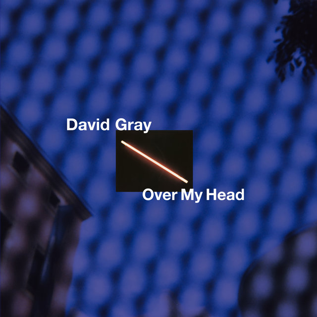 David Gray On Tidal