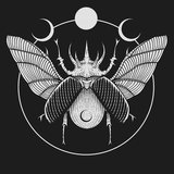 6lack beetle