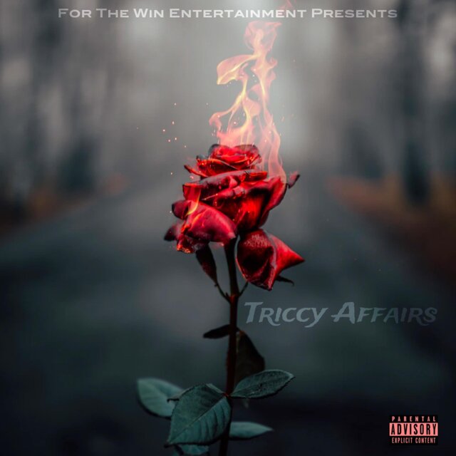 Triccy Affairs