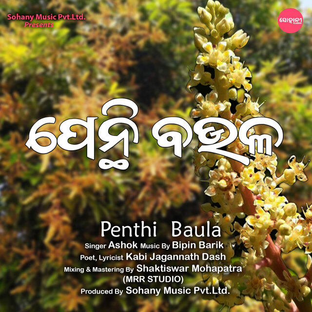 Penthi Baula