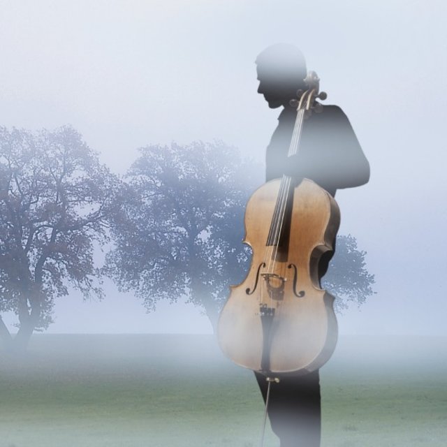 Cellospheres and Bass Moods