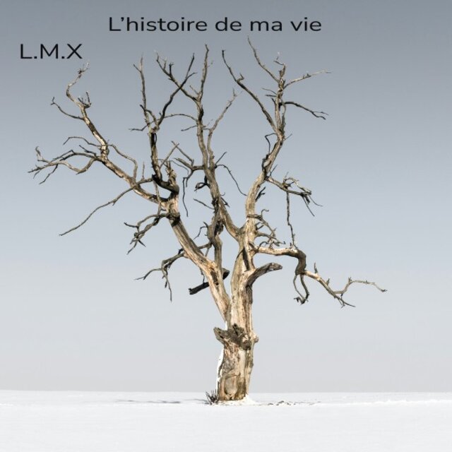 L'histoire de ma vie