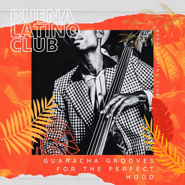 Guaracha Grooves for the Perfect Mood