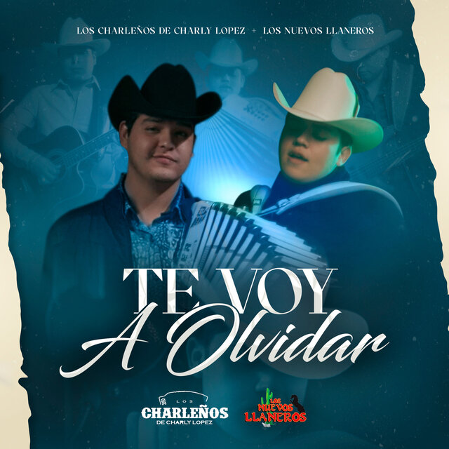 Te Voy a Olvidar