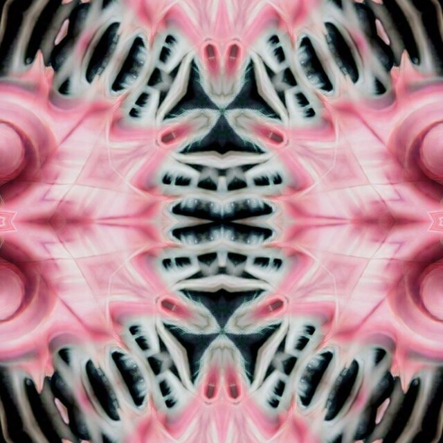 Mundo Rosa