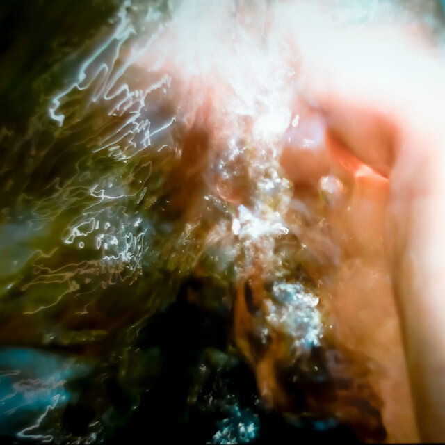 touch•me•not