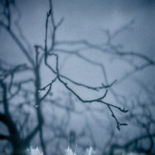 Outgrowth