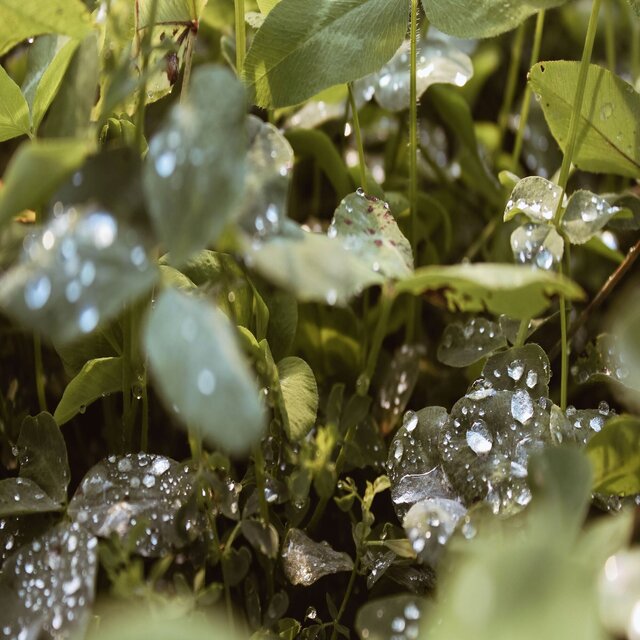 March Raining 3