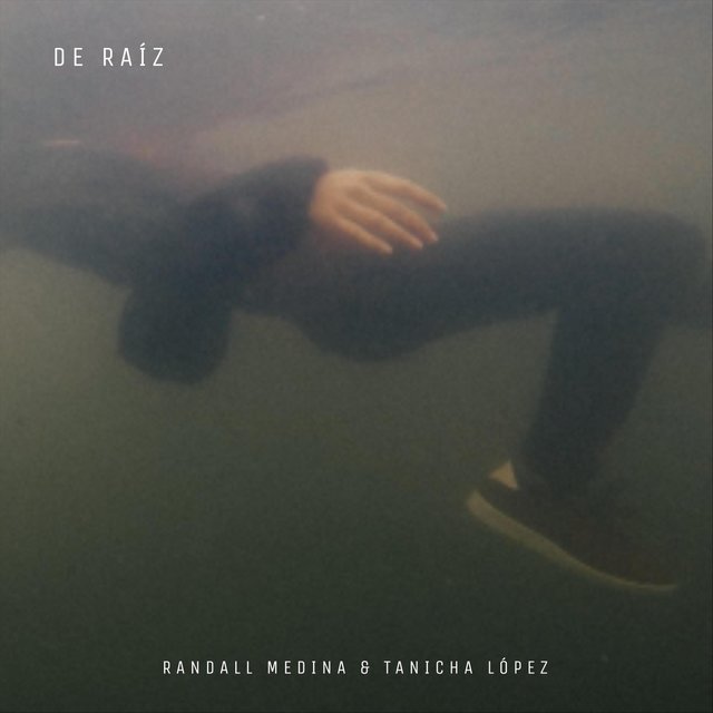 De Raíz
