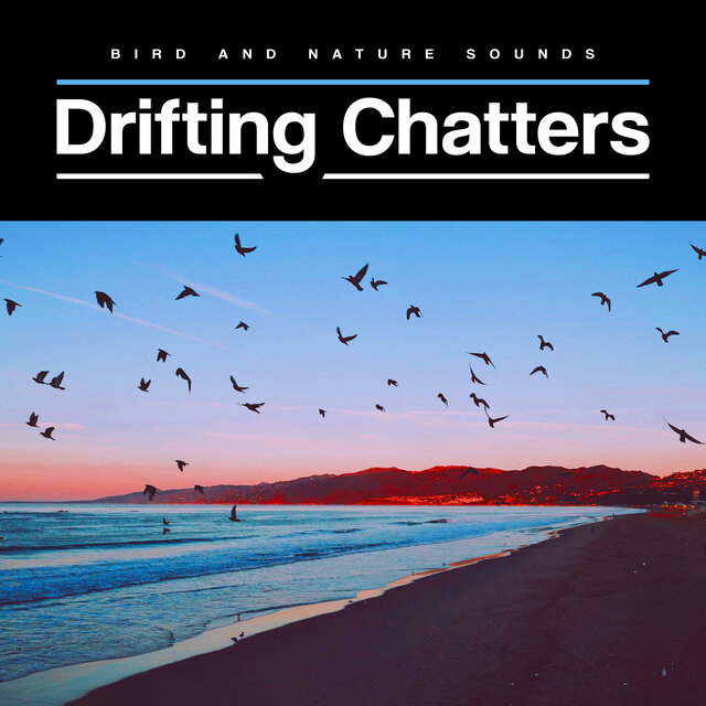 Drifting Chatters
