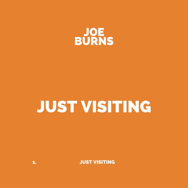 Just Visiting