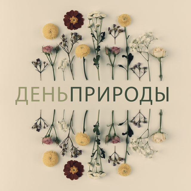 День природы - Целебная музыка - Глубокое расслабление и медитация