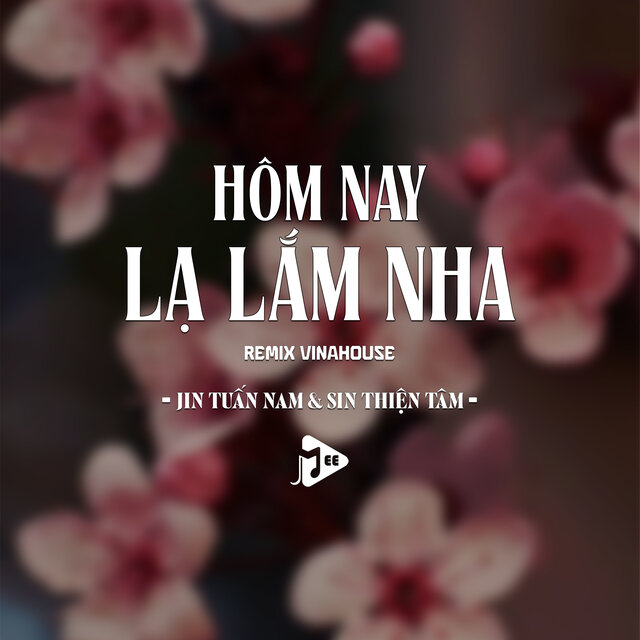 Hôm Nay Lạ Lắm Nha (Remix Vinahouse)