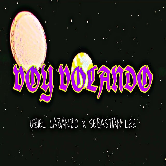 Voy Volando