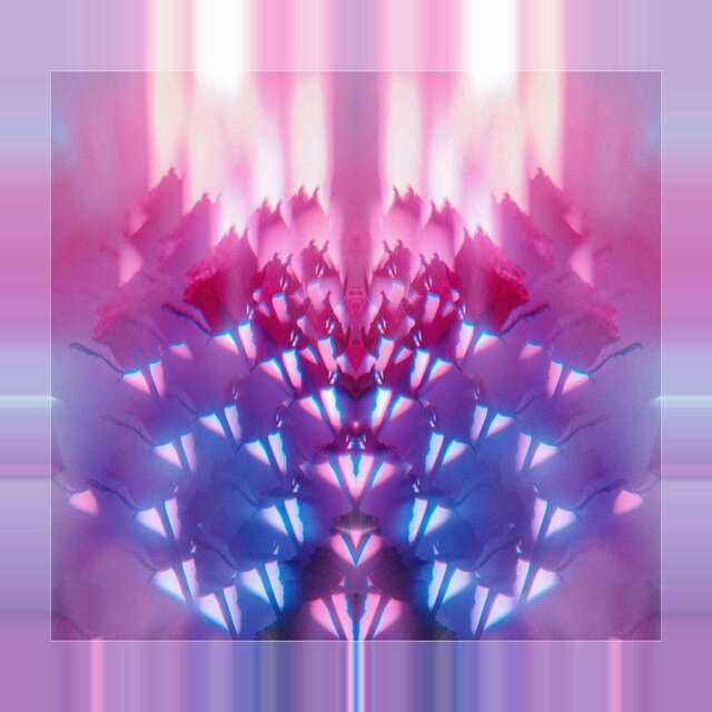 Living Color Kaleidoscope