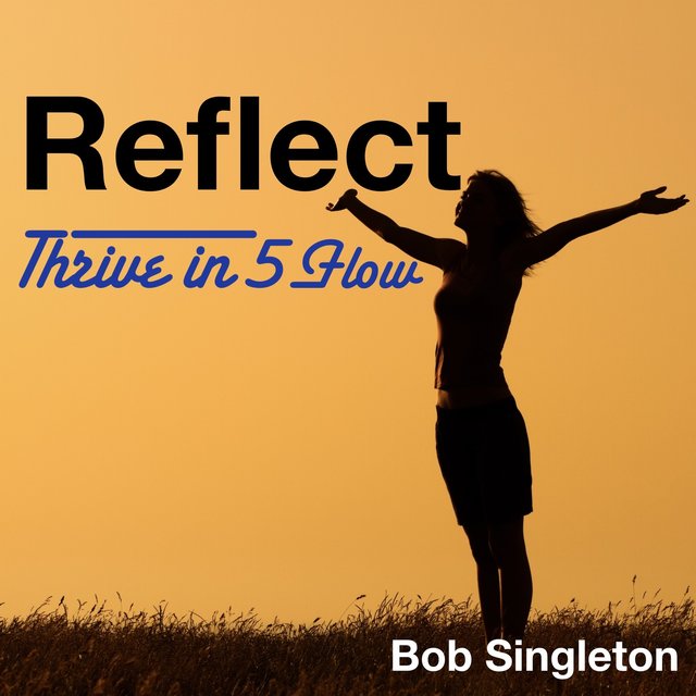 Reflect (Thrive in 5 Flow)