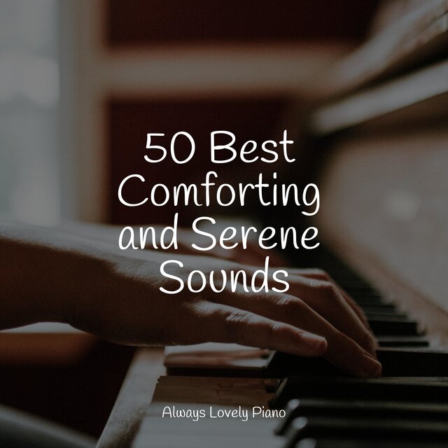 50 Best Comforting and Serene Sounds
