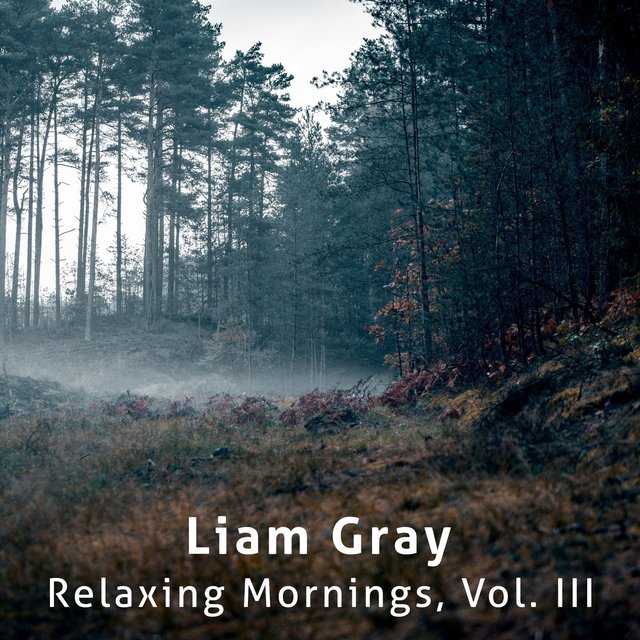 Relaxing Mornings, Vol. III