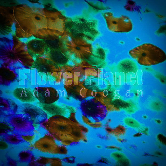Flower Planet