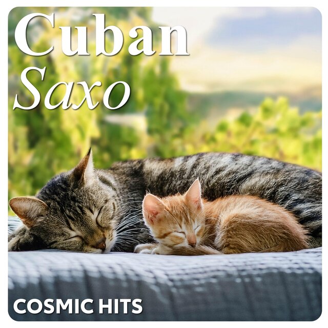 Saxophone Dreams & The Cuban Cats