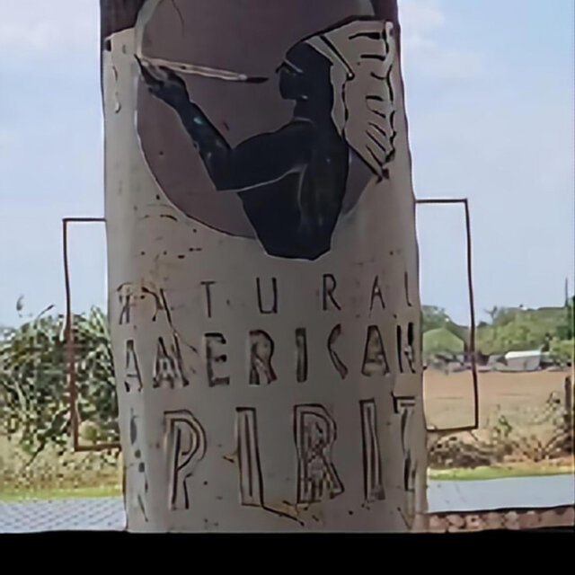 Feathered Indians