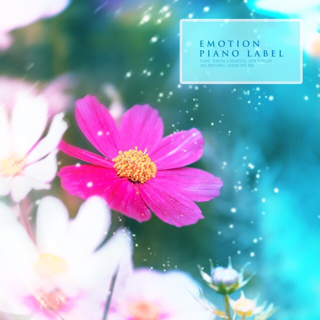 Sensitive Piano Melody