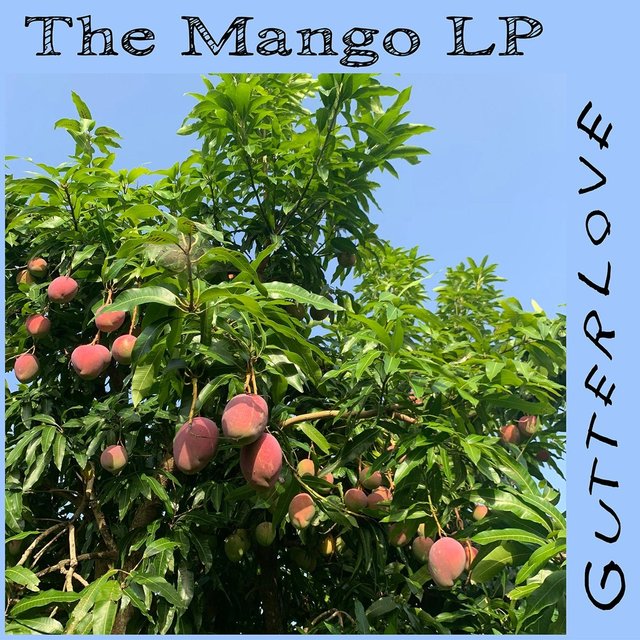 The Mango Lp