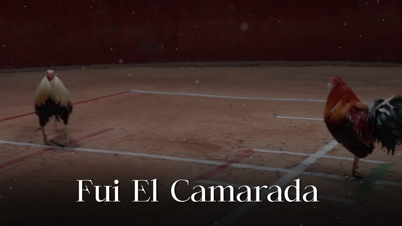 Fui El Camarada