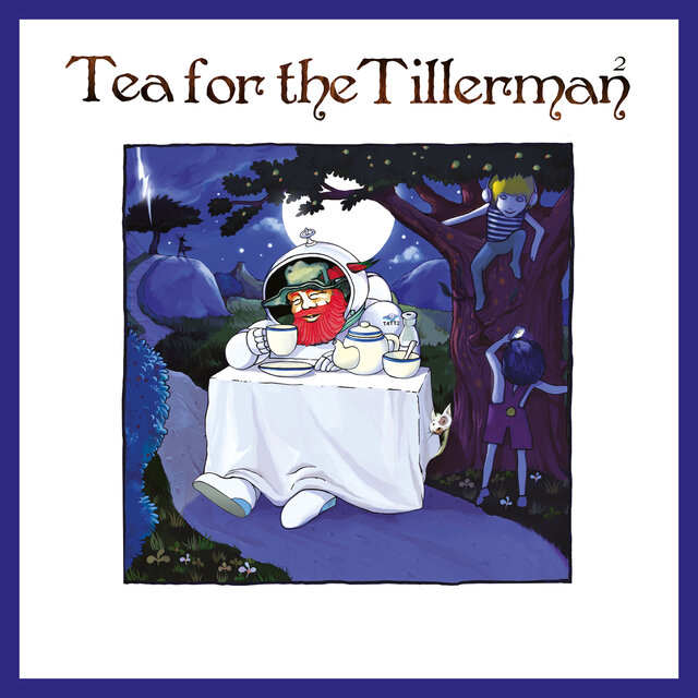 Cover art for album Tea For The Tillerman² by Yusuf / Cat Stevens