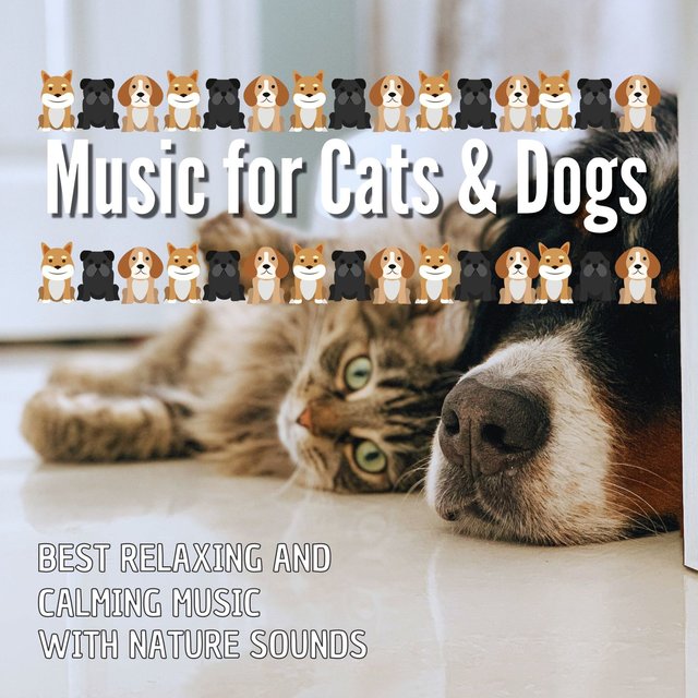 Music for Cats & Dogs: Best Relaxing and Calming Music with Nature Sounds