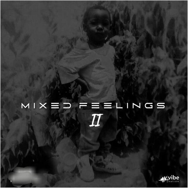 Mixed Feelings II