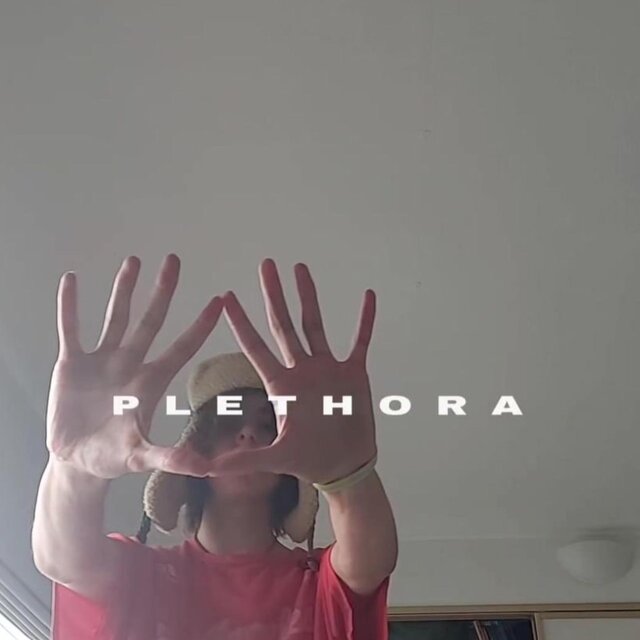 plethora (deluxe)