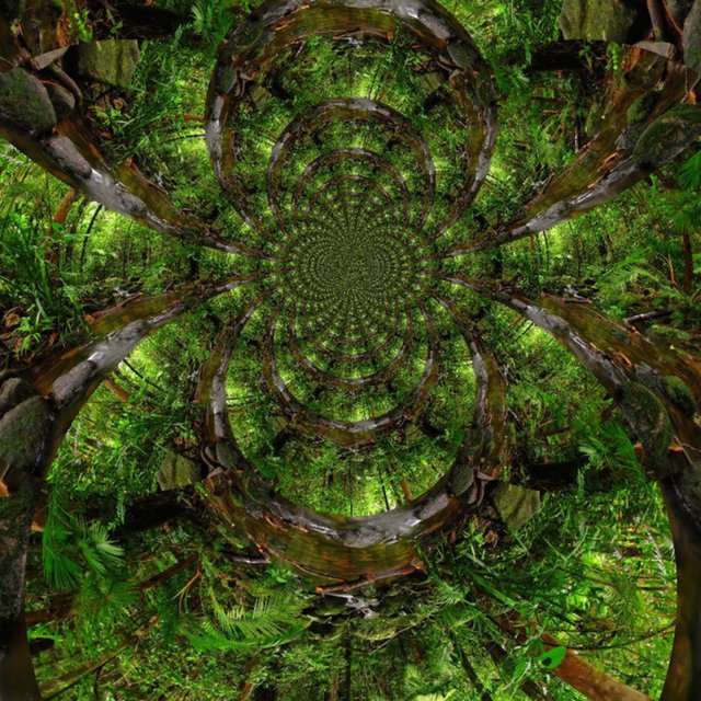 Tribal Frequency