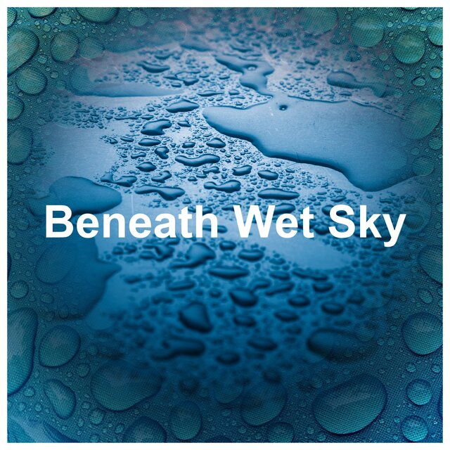 Beneath Wet Sky