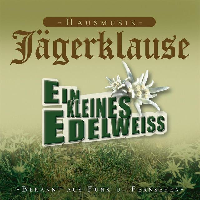 Ein kleines Edelweiss