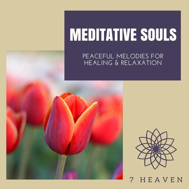 Meditative Souls - Peaceful Melodies For Healing & Relaxation
