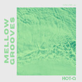 Good Vibes (Alver DeeJay Remix)